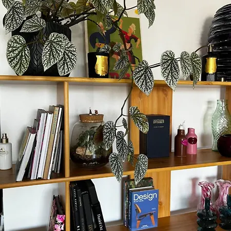 Apartment Cosy Pantin
